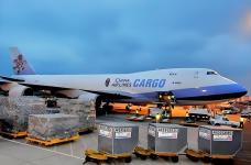 深圳美線貨代排名—大智通國際物流